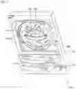 Fig. 10 - Light guide plate, display apparatus, and game machine