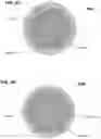 Fig. 07 - Passive aligning optical coupler array
