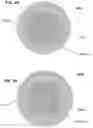 Fig. 09 - Passive aligning optical coupler array