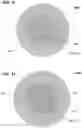 Fig. 10 - Passive aligning optical coupler array