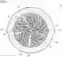 Fig. 02 - Optical fiber cable