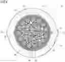 Fig. 05 - Optical fiber cable