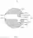 Fig. 03 - Lens module
