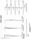 Fig. 61 - Zoom optical system, imaging device and method for manufacturing the zoom optical system