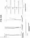 Fig. 71 - Zoom optical system, imaging device and method for manufacturing the zoom optical system