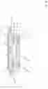 Fig. 08 - Reluctance actuator
