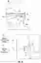 Fig. 05 - Augmented and virtual reality display systems and methods for diagnosing health conditions based on visual fields
