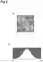 Fig. 06 - Pseudo speckle pattern generation device, pseudo speckle pattern generation method, observation device, and observation method