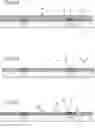 Fig. 08 - Light emitting module and method of manufacturing the same