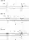 Fig. 15 - Light emitting module and method of manufacturing the same