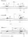 Fig. 19 - Light emitting module and method of manufacturing the same