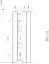 Fig. 12 - Display device