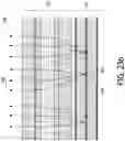 Fig. 21 - Beam shaping device