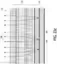 Fig. 22 - Beam shaping device
