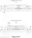 Fig. 32 - Electrochromic devices on non-rectangular shapes