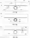 Fig. 09 - Temporal modes of electromagnetic radiation using nonlinear optical cavities and shaped laser pulses