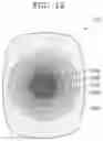 Fig. 09 - Structured-light projector and electronic apparatus including structured-light projector