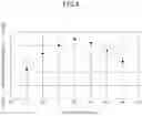 Fig. 05 - Conveyance screw and developing apparatus