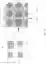 Fig. 08 - Water immune projected-capacitive (PCAP) touchscreen