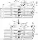 Fig. 01 - Method and apparatus for temperature-gradient aware data-placement for 3D stacked DRAMs