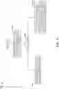 Fig. 12 - Technique of register space expansion with branched paging