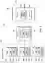 Fig. 02 - Method and system for compression aware chunking of backup streams