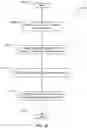 Fig. 50 - Gallery video player movement iconography