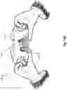 Fig. 34 - Gallery picker service