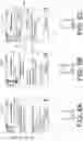 Fig. 07 - Virtual assistant focused user interfaces