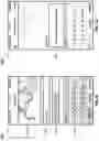 Fig. 10 - Iterative image search algorithm informed by continuous human-machine input feedback