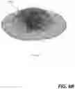 Fig. 10 - Parallel Computation Efficiency Improvements In Particle-Based Numerical Simulation Of Explosion Event