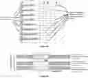 Fig. 13 - METHOD AND SYSTEM FOR SELECTIVE ACCESS OF STORED OR TRANSMITTED BIOINFORMATICS DATA