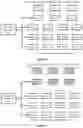 Fig. 18 - METHOD AND SYSTEM FOR SELECTIVE ACCESS OF STORED OR TRANSMITTED BIOINFORMATICS DATA