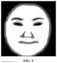 Fig. 05 - Face image processing methods and apparatuses, and electronic devices
