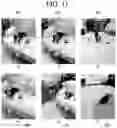 Fig. 12 - Artificial intelligence apparatus for recognizing object and method therefor