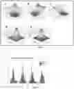 Fig. 03 - Complex-valued neural network with learnable non-linearities in medical imaging