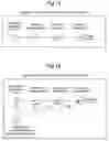 Fig. 13 - INFORMATION OUTPUT SYSTEM, INFORMATION OUTPUT METHOD, AND RECORDING MEDIUM