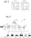 Fig. 04 - DETERMINING ITEM MORTALITY BASED ON TRACKED ENVIRONMENTAL CONDITIONS DURING TRANSIT