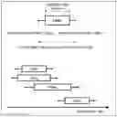 Fig. 01 - CALCULATION SYSTEM, CALCULATION METHOD, AND RECORDING MEDIUM ON WHICH CALCULATION PROGRAM IS RECORDED