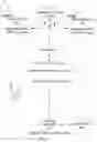 Fig. 02 - Dynamically configurable social media platform