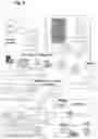 Fig. 16 - End-consumer customizable product variety pack