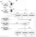 Fig. 01 - SYSTEMS AND METHODS FOR ELECTRONIC TRADING THAT PERMIT PRINCIPAL/BROKER TRADING