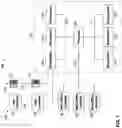 Fig. 02 - SYSTEMS AND METHODS FOR ELECTRONIC TRADING THAT PERMIT PRINCIPAL/BROKER TRADING