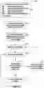 Fig. 06 - SYSTEMS AND METHODS FOR ELECTRONIC TRADING THAT PERMIT PRINCIPAL/BROKER TRADING