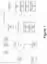 Fig. 02 - PROACTIVE OFFERS