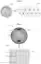 Fig. 06 - Spherical rotation for encoding wide view video