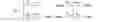 Fig. 47 - Method and terminal for displaying edge of rectangular frame