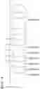Fig. 05 - Medical image processing apparatus, medical image processing method, and program
