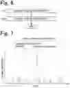 Fig. 06 - Electrophoretic separation date analyzing apparatus, electrophoretic separation data analyzing method, and computer program for causing a computer to execute the analyzing method