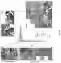 Fig. 23 - Systems and methods for multiple instance learning for classification and localization in biomedical imaging
